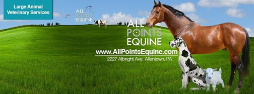 www.allpointsequine.com